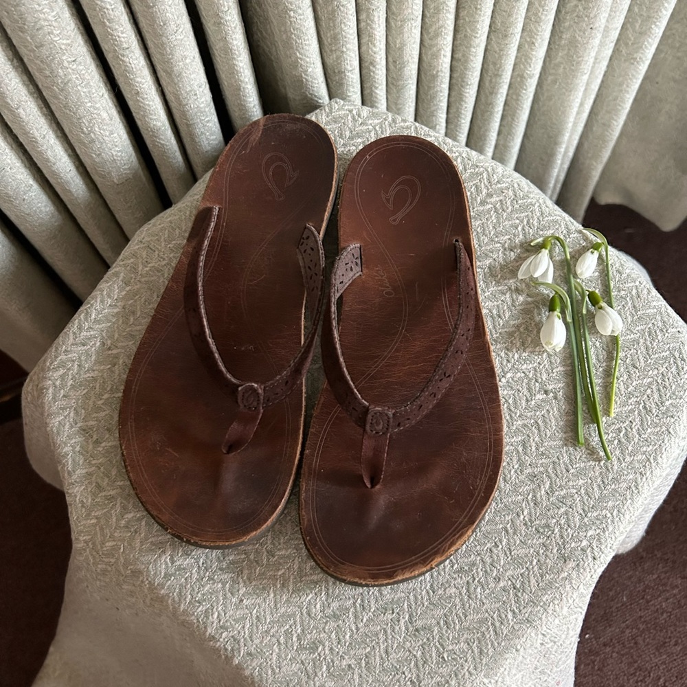 Brown Leather Flip-Flop Sandals with Thong Style
